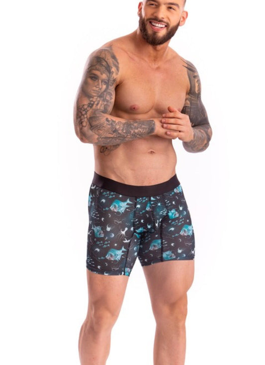 Dolphin Print Boxer